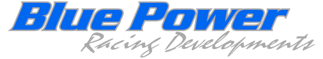 Blue Power Logo